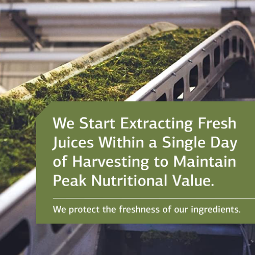 Standard Process Thymex Whole Food Cholesterol, 90 Tablets