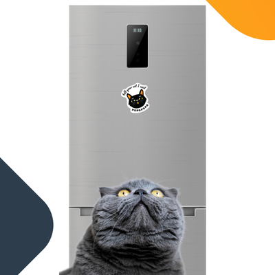 Magnet Me Up Tell Your Cat I Said PSPSPSPS Funny Cute Magnet Decal, 4.5x4.5