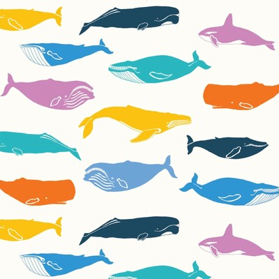 whale Poplin Cotton Fabric-Just for Fun III Organic Birch Fabrics-Choose Cut