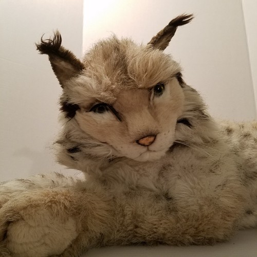 Avanti Jockline Italy Plush Lynx Limited Edition 1984 Applause D'Oro Stuffed Cat