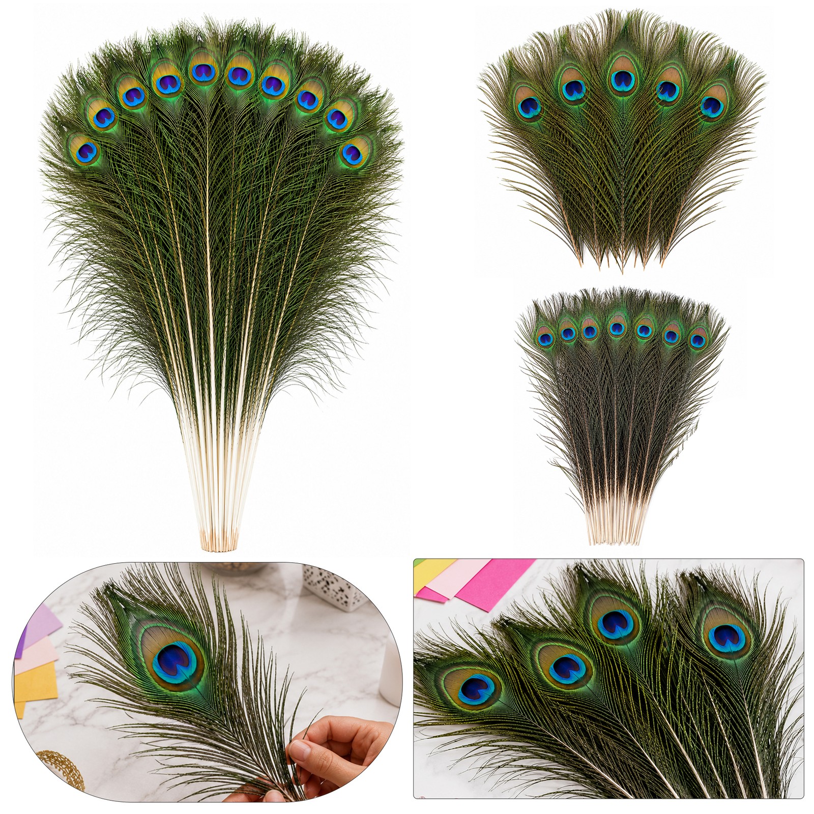 10-100x Natural Peacock Tail Feathers Wedding Festival Party Wedding Decoration
