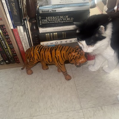 Artikelfoto(s) von einem verifizierten Käufer