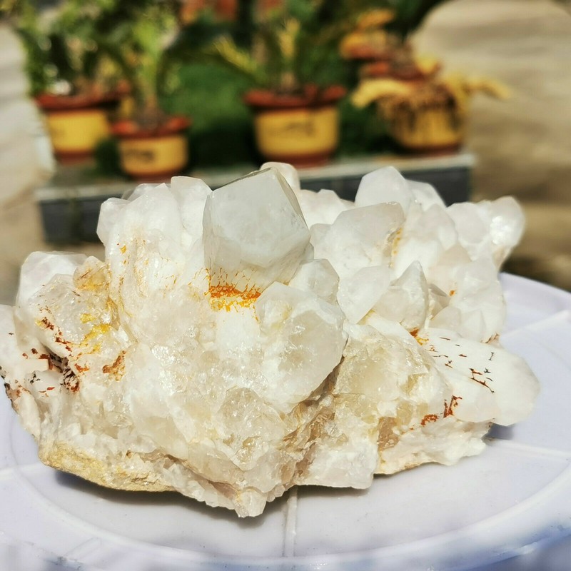 3.75 lb Natural Transparent Quartz Cluster Vug Mineral Crystals suggests