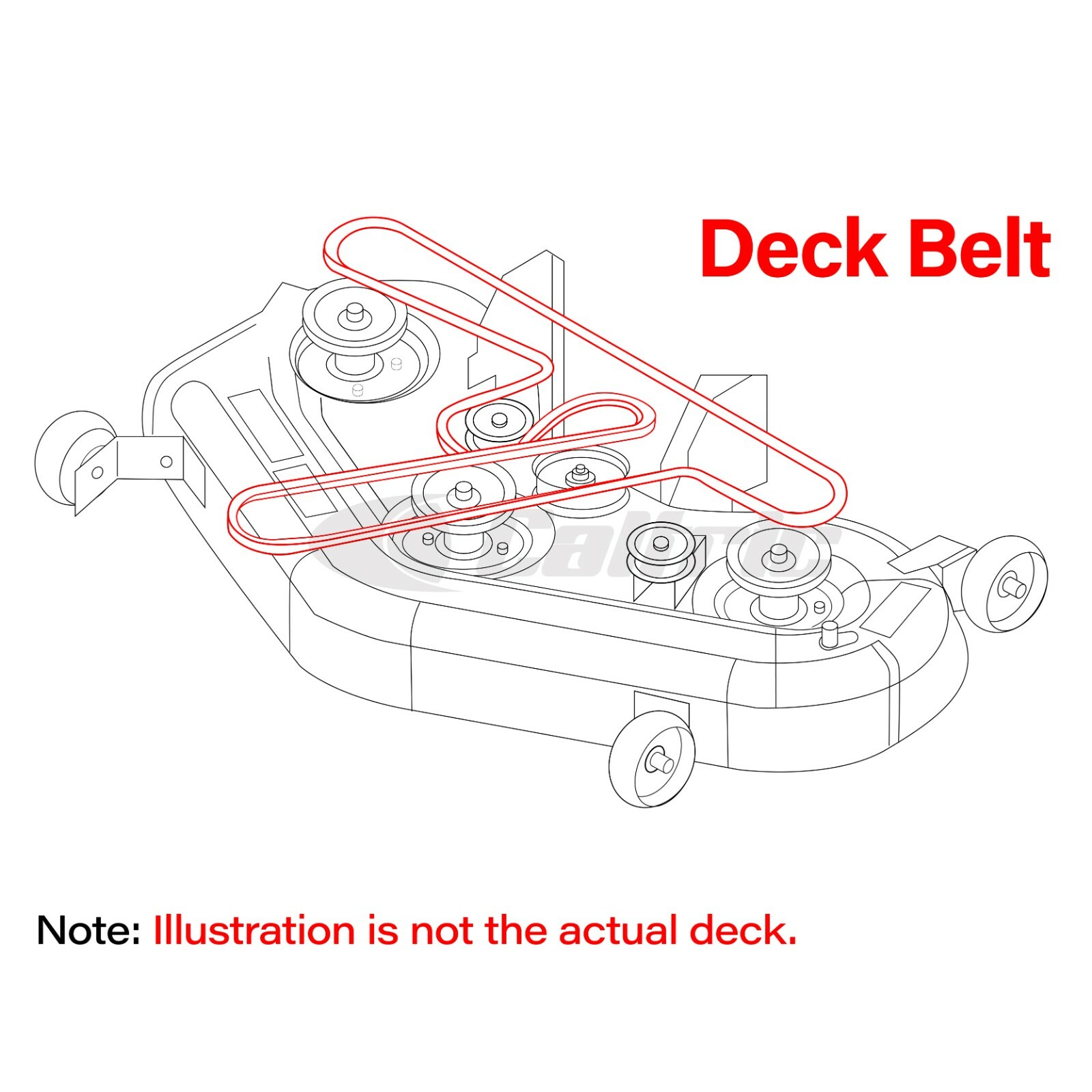 expert belt