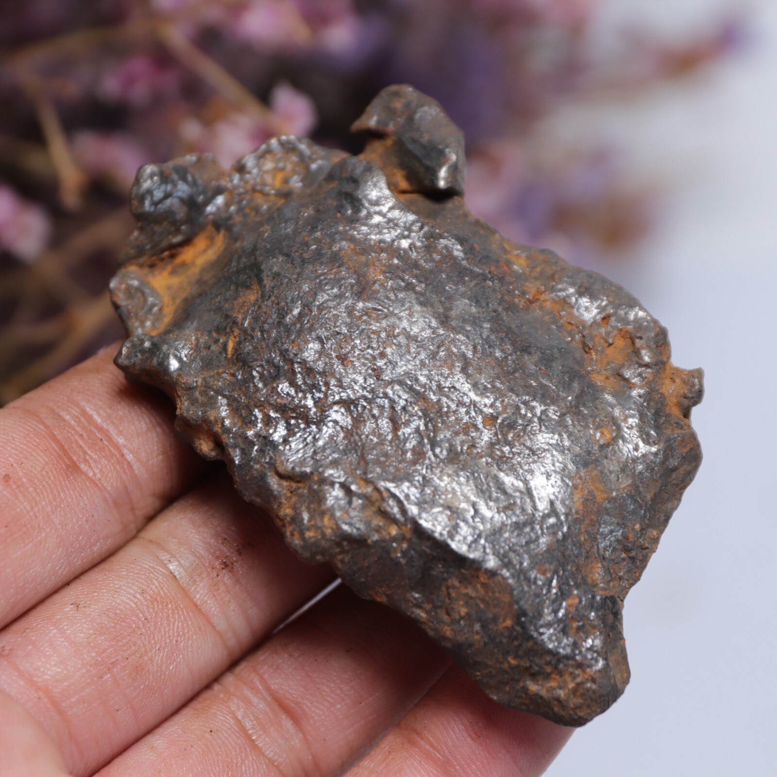 ネックレス・ペンダント Gebel Kamil  meteorite over pendant No11 Gebel Kamil meteorite over pendant No11