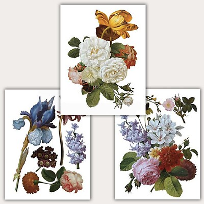 Rub On Transfers Furniture ReDesign Prima BLOSSOMED BEAUTIES Middy Craft  8.5x11