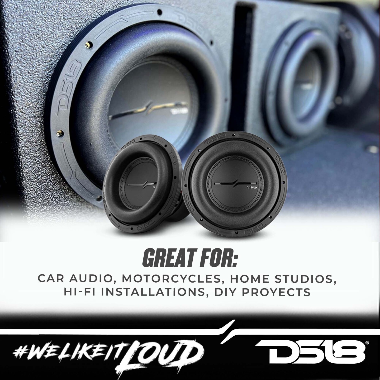 DS18 ZXI8.2D High Excursion 8