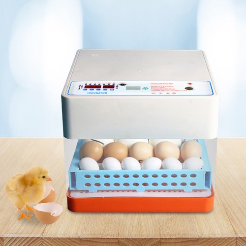 24 Eier Vollautomatische  Brutmaschine Brutautomat Inkubator Brutapparat Brüter