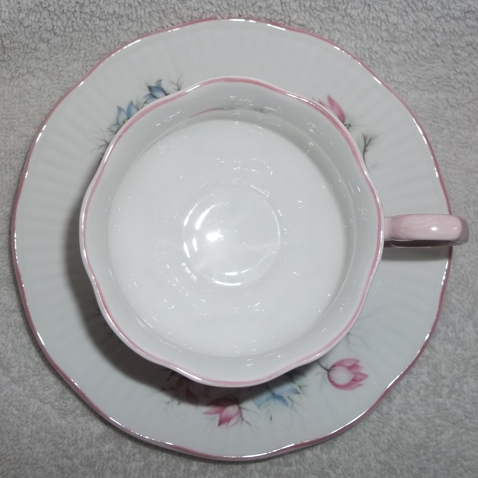 Vintage Pink & Blue Beautiful Queen's Tea Cup & Saucer Rosina English Bone China