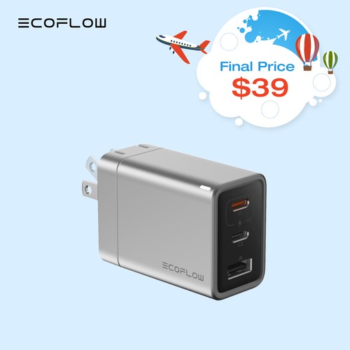 EcoFlow RAPID 65W Gan RAPID5000 セット 楽天市場】【クーポン利用で5,544円 8/24~】18か月保証&タイプC