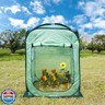 Porayhut Pop Up Greenhouse Tent,Portable X-Large Walk-in Flower House ,Indoor Outdoor Gardening Plant Sunshine Room with PE Mesh Cloth Cover for Protecting Plant from Cold Frost and Birds