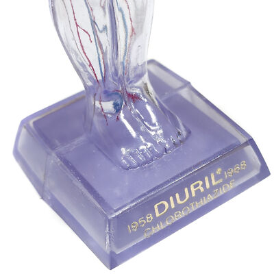 1968 Diuril Drug Rep Advertising Clear Human Body Figure Blood Pressure Medicine