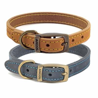 Ancol Timberwolf Leather Dog Collar