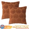 COSIBONO Pumpkin Fall Decorative Throw Pillow Covers 20