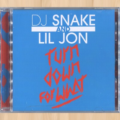 DJ SNAKE & LIL JON Turn Down for What REMIX CD SINGLE 2 Chainz JUICY J      0801