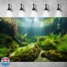Underwater Aquarium Background Underwater Aquatic Plants with Sunbeams Fish Tank Background Rock with Lush Moss Terrarium Background Aquarium Backdrop For Tank Decorations Poster Vinyl 30x18in