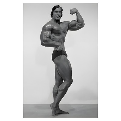 Arnold Schwarzenegger Ronnie Bodybuilding Fitness Portrait Gym Poster Artwork