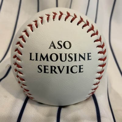 Hudson Valley Renegades SGA LIMO SERVICE Souvenir baseball collectible ball