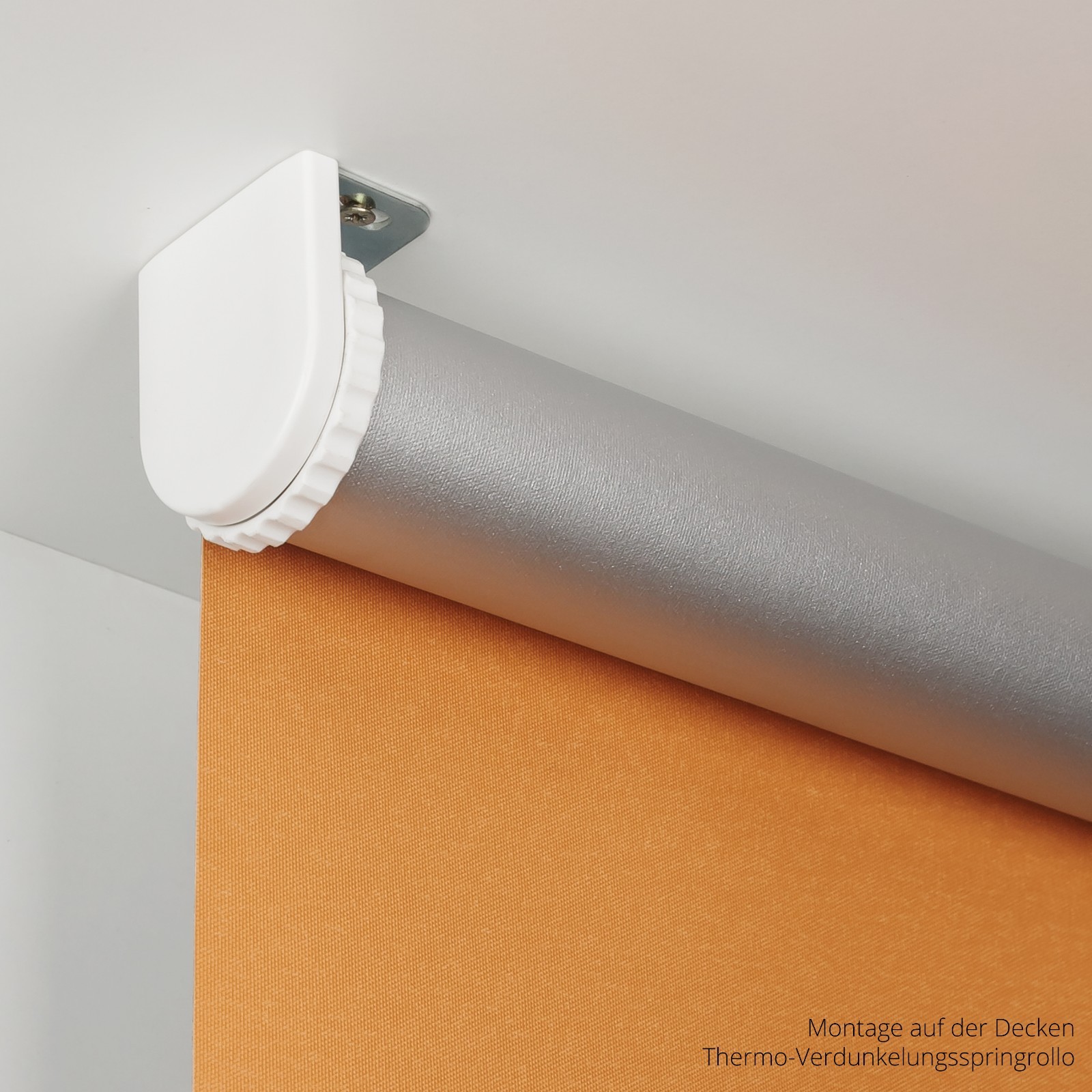 Springrollo StandardRollo Thermo Verdunkelungsrollo