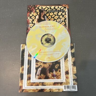 Meredith Brooks Bitch Down By the River CD Single Disc Artwork Only No Case