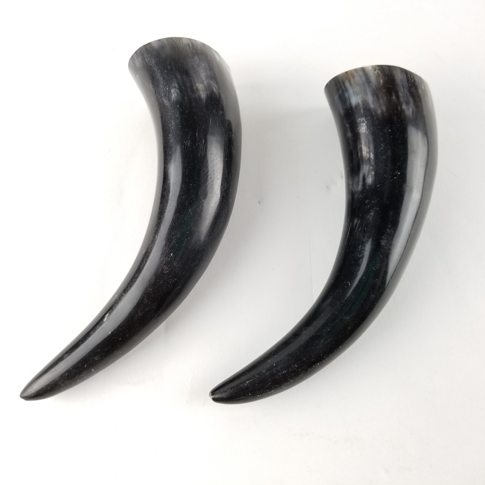 Polished Steer Cow Horn Lot of 2 Black Natural Markings Curved Taxidermy Crafts