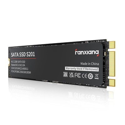 S201 256GB M.2 SSD 2280 SATA III 6Gb/s Internal Solid State Drive, SLC Cache ...