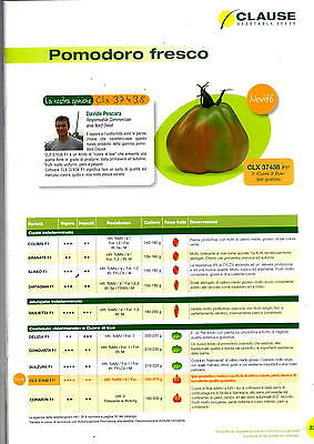 Seeds Tomato /" Hellfrucht /" Platzfest Very Productive Rispentomate