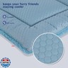 Vetasac Dog Bed Mat, Crate Pad Reversible,Soft Kennel Pad, Washable Dog Crate Mat (Cool and Warm),Pet Sleeping Mattress for Small Medium Dogs XB009 (30''x20'',Blue)