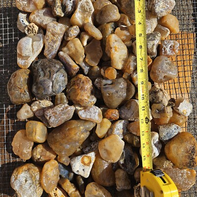 Montana Agate.   Buck-a-Pound!   Tumbling / Cutting Rough.  10 Pounds.