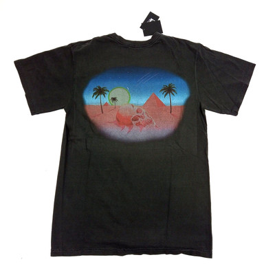 Stüssy Oasis Pig.Dyed Tee, Size Small