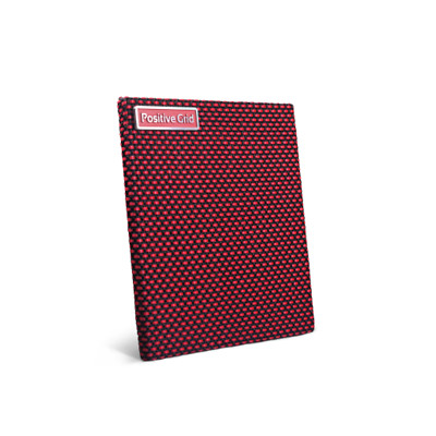 Positive Grid Crimson Grille for Spark MINI