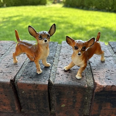 Photos de l'objet d'un acheteur vérifié