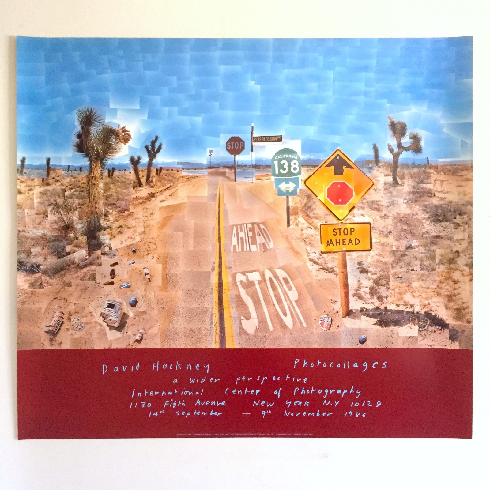 DAVID HOCKNEY RARE VTG 1986 ICONIC LITHOGRAPH PRINT
