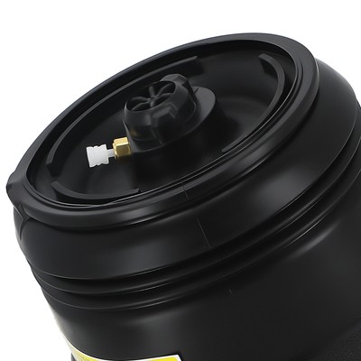 2Pcs Rear Air Spring Bags Air Suspension for BMW X5 E70 X6 E71 07-19 37126790079