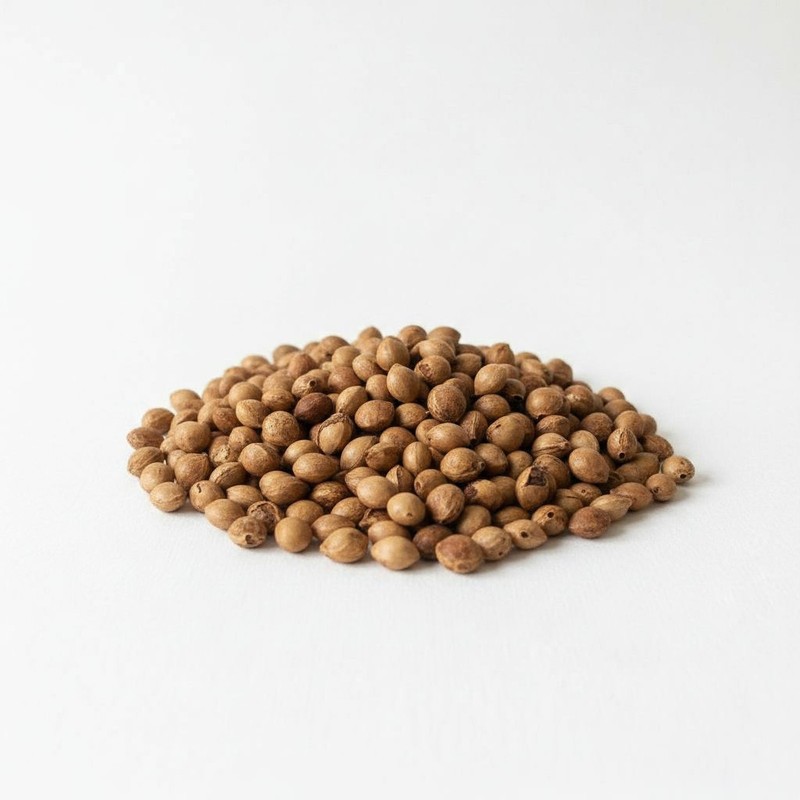 Black Cherry Tree Seeds (Prunus Serotina )