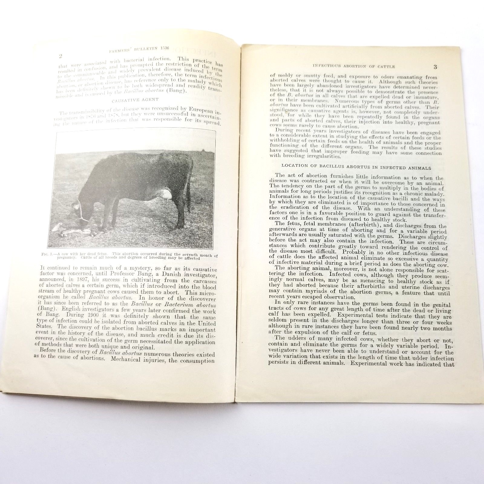 US Department of Agriculture Farmers Bulletin 1536 Infectious Abortion of Cattle