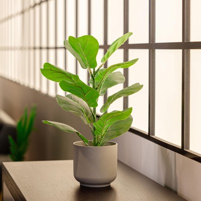 365 Blooming Decor 16'' Faux Fiddle Leaf Fig in Minimal Pot with River Stone