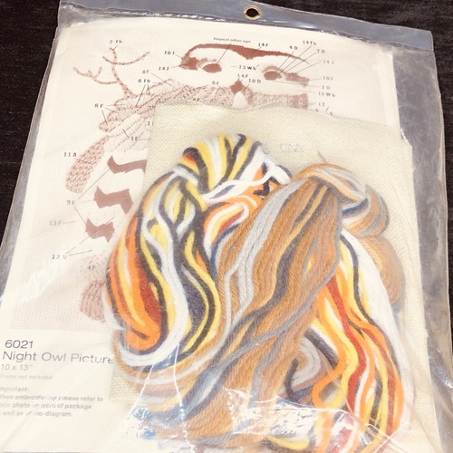 Pauline Denham Night Owl Crewel Embroidery Kit 6021 Vintage Original Package