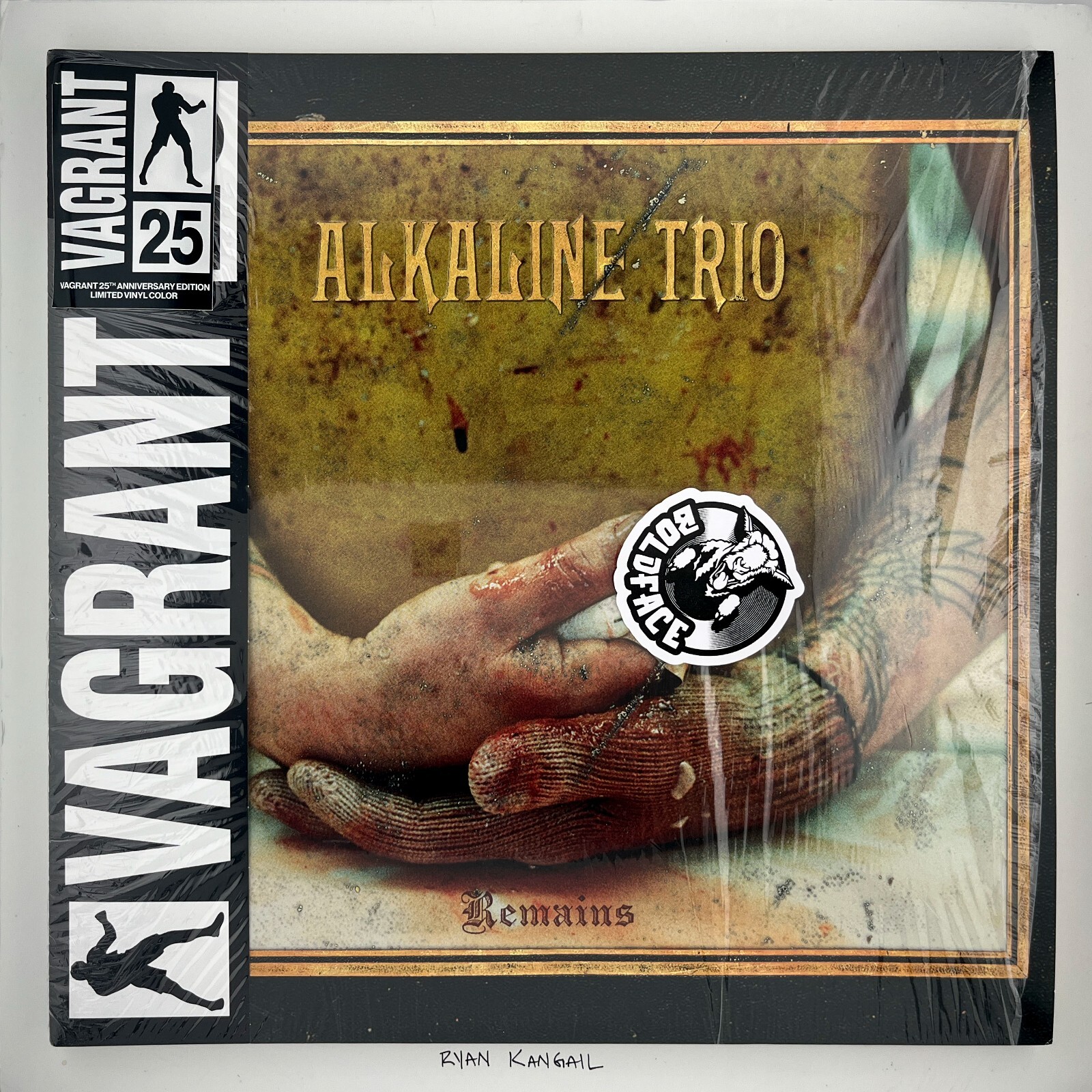 Alkaline Trio/From Here To...レコードLP2001年 ALKALINE TRIO From Here To Infirmary 2021 RSD Colored Vinyl