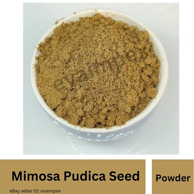 Lajawanti Whole Seed Mimosa Pudica Shy Plant Chui Mui Pure Indian Harb Seed