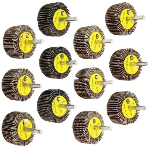 12 Pack ¼" Shank Flap Wheel Assortment, Includes 40, 60, 80, & 120 Grit 2"×1"×¼"