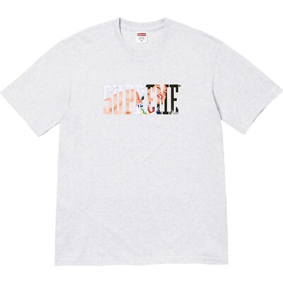 Supreme FW24 Tera Patrick Collegiate Tee Ash Grey Size XXL New IN HAND
