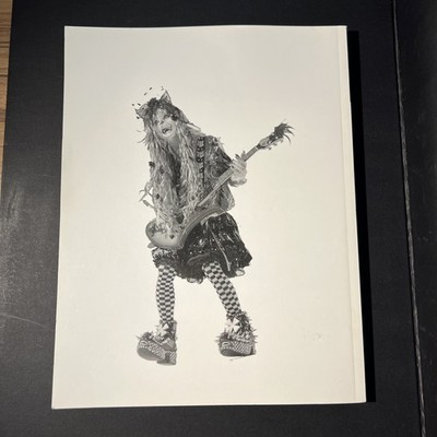 Picture 2 of 4