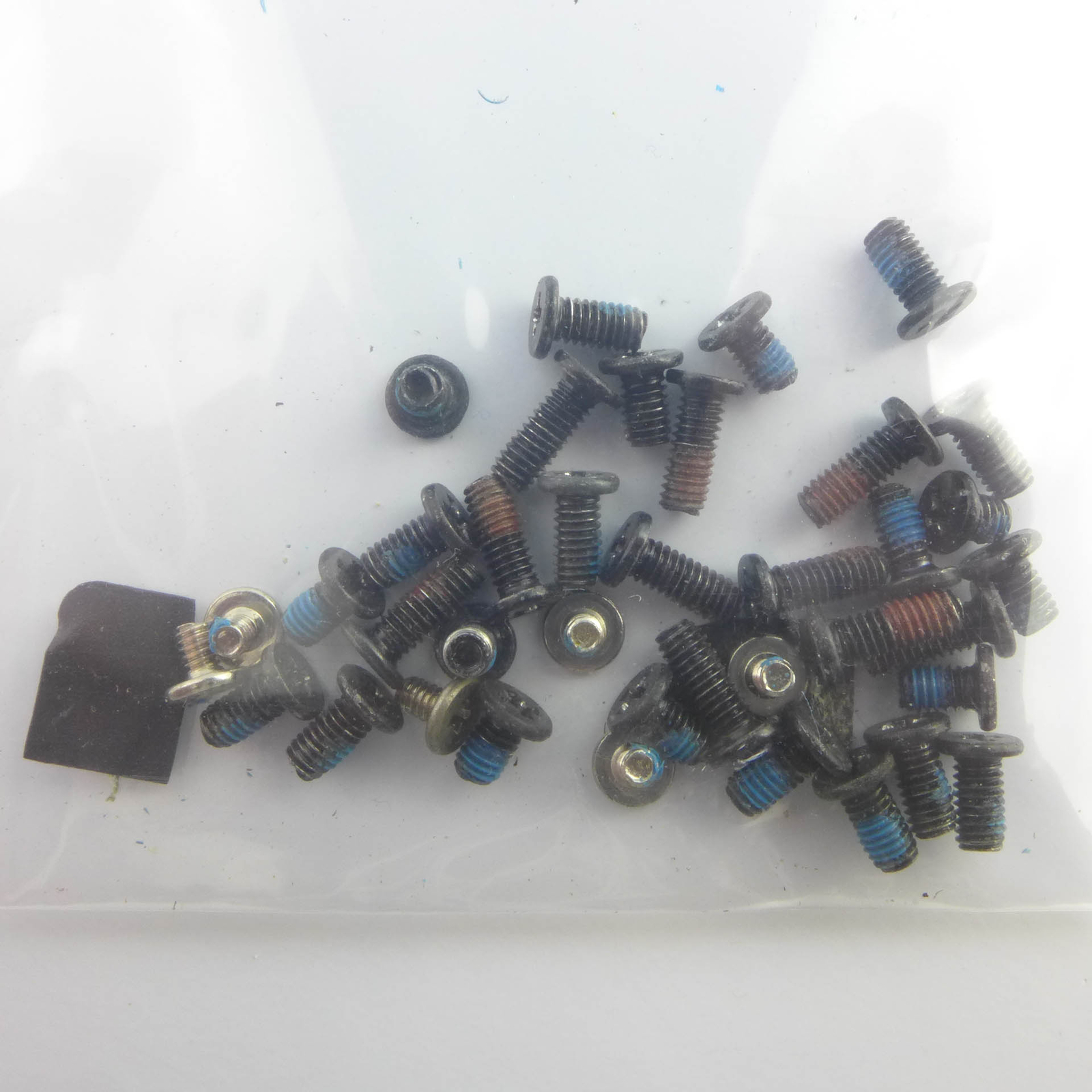 ORIGINAL HP Pavilion G6-1000 Schrauben Satz    screw set  G6-1xxx ✅