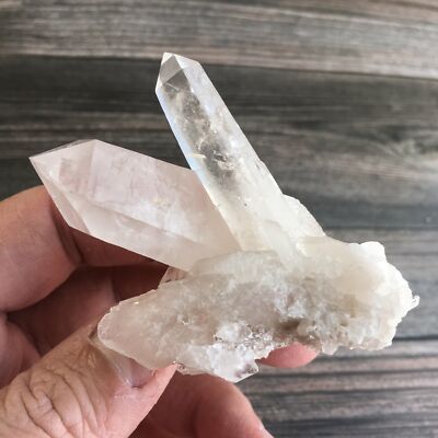 $_1.JPG?set_id=880000500F