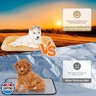 Clysee 2 Pack Self Heating Cat Mat Self Warming Pet Pads Washable Kennel Mat Dog Crate Pad Reflects Body Heat Non Skid Cat Thermal Pads for Puppy Indoor Outdoor(Beige,16 x 20 Inches)