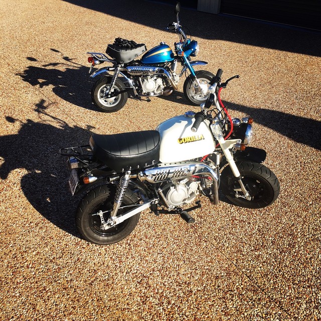 Honda gorilla z50j