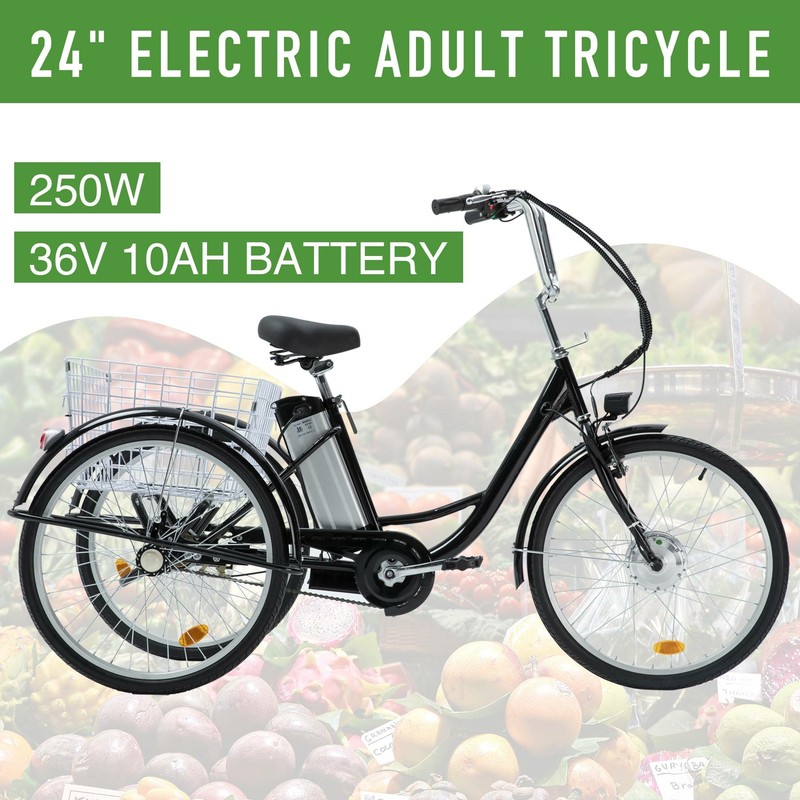Adult Cruise Bike 24