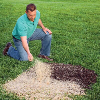 EZ Straw Seeding Mulch with Tack, 2.5 Cubic Feet (4 Pack)