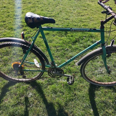 Rat Look Mountain Bike